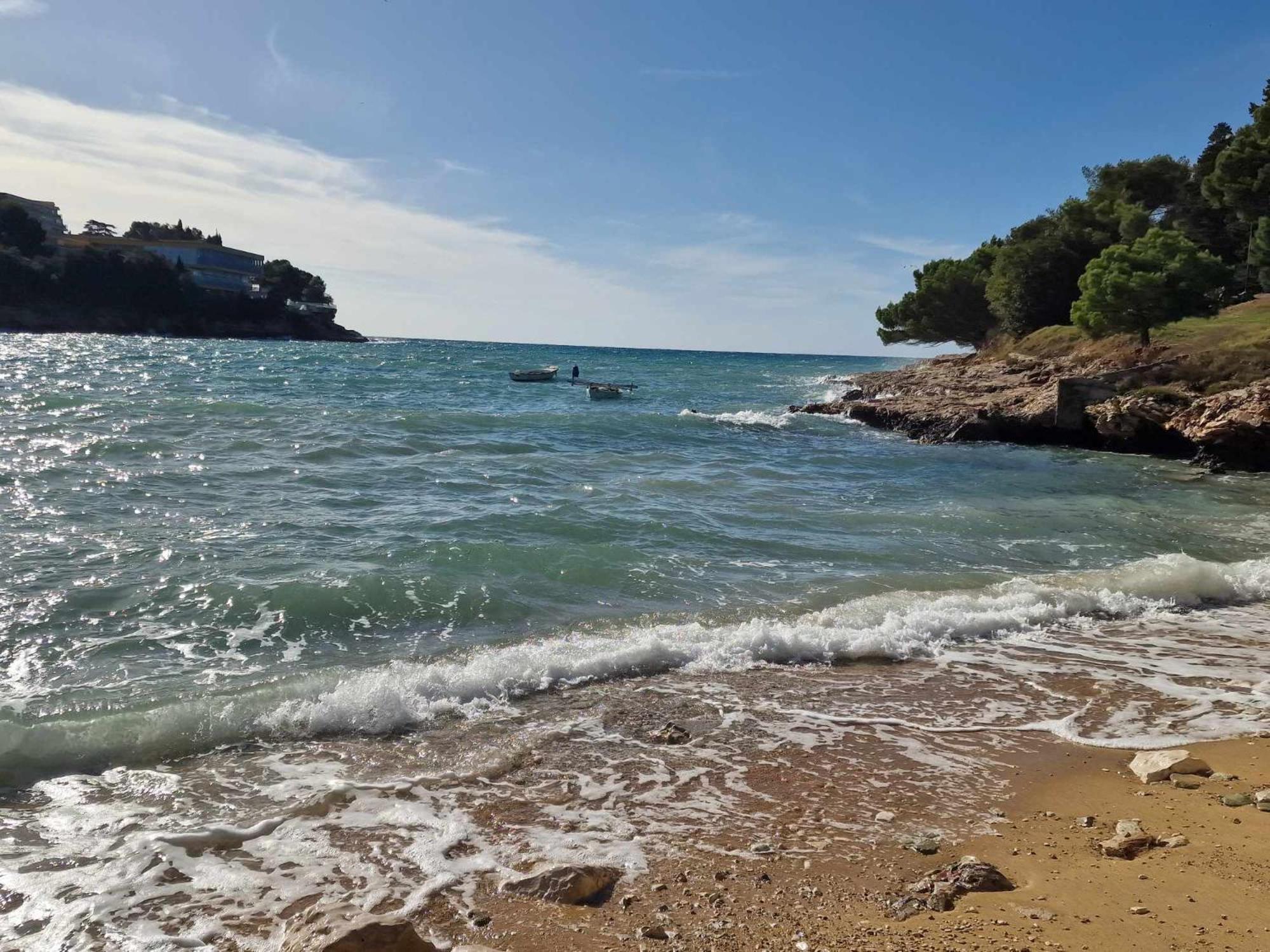 Paradise بولا المظهر الخارجي الصورة
